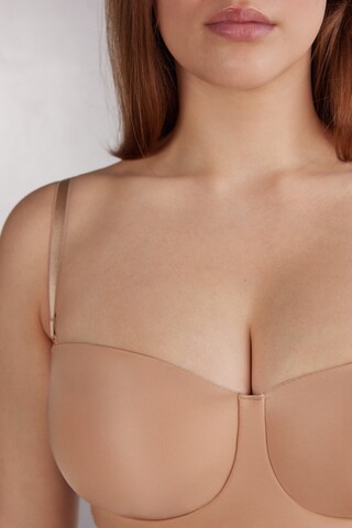 INTIMISSIMI Bandeau Bandeau 'DILETTA' in Beige