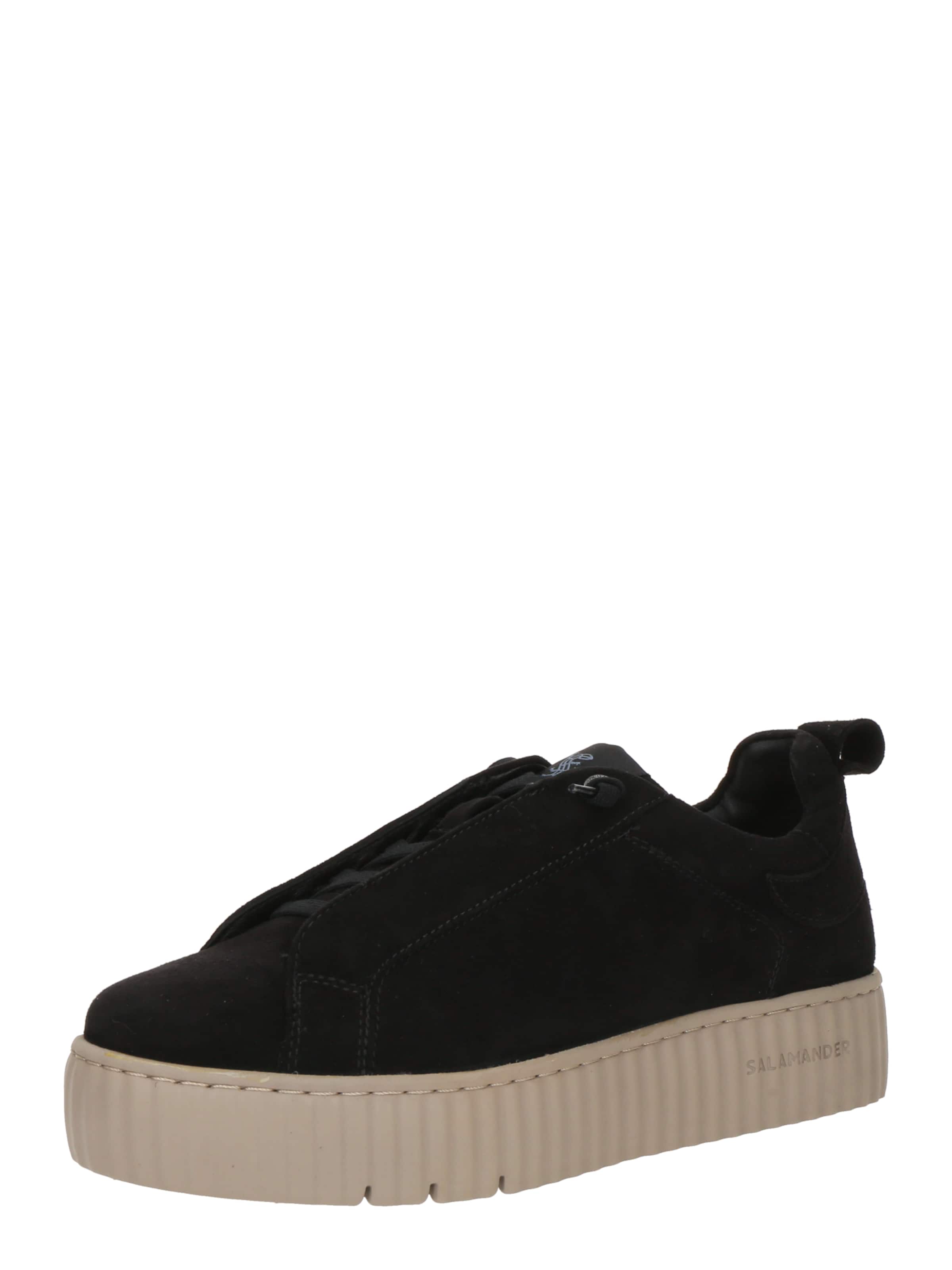 SALAMANDER Låg sneaker i svart: framsida