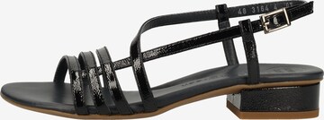 Paul Green Strap Sandals in Blue