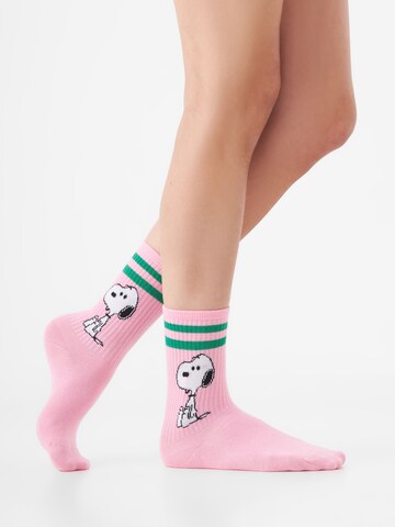 CODELLO Socks in Pink