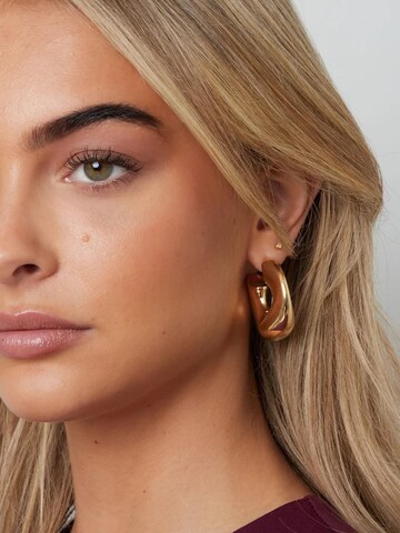 Cala Rose Earrings 'CHUNKY HOOP' in Gold