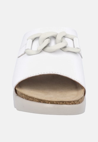 JOSEF SEIBEL Mules 'Celine 07' in White