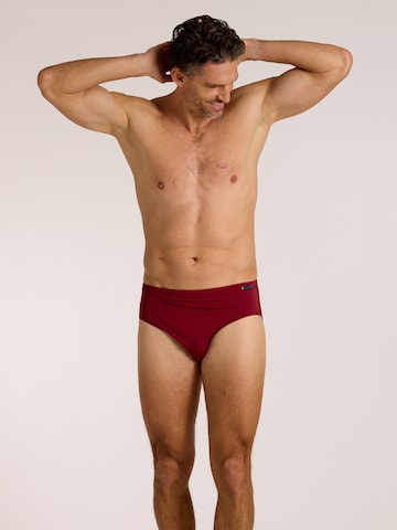 wavebreaker Swim Trunks in Red: front