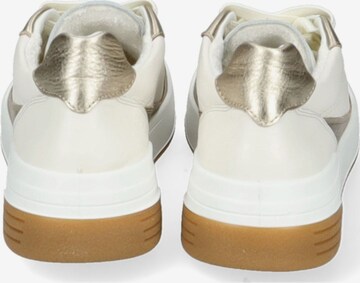 ARA Sneakers in White