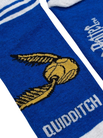 Harry Potter Socks 'Hogwarts' in Mixed colors