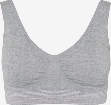 BeeDees Top 'Bustier Comfee Crop Top mit herausnehmbaren Cups' in Grey: front