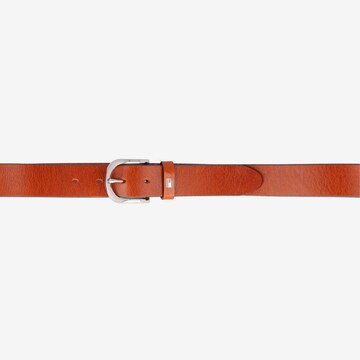 Ceinture 'Danny' TOMMY HILFIGER en marron