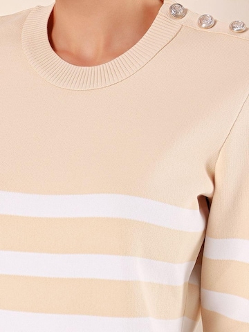 Bigdart Trui in Beige