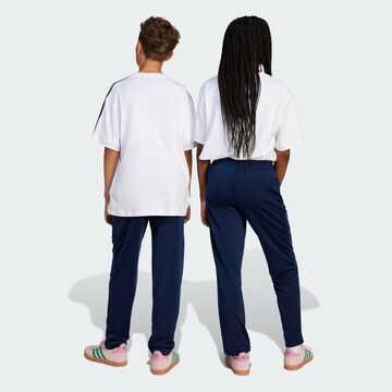 ADIDAS ORIGINALS Regular Broek 'Adidas Originals x Liberty London Firebird' in Blauw