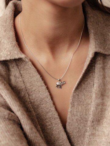 Hey Happiness Ketting 'Success Spirit' in Zilver