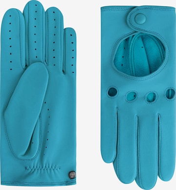 Gants 'ROM AUTOFAHRER' Roeckl en bleu : devant