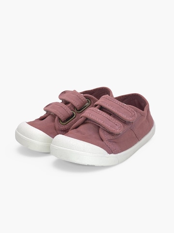 Pisamonas Sneaker‌‌‌‌‌ in Pink
