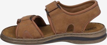 JOSEF SEIBEL Sandals 'Max' in Brown