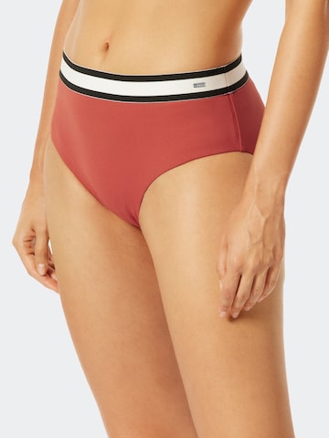 SCHIESSER Bikini Bottoms 'Aqua Californian Dream' in Red: front