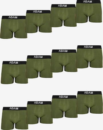 Adam Boxershorts '12er Pack' in Grün: Vorderseite