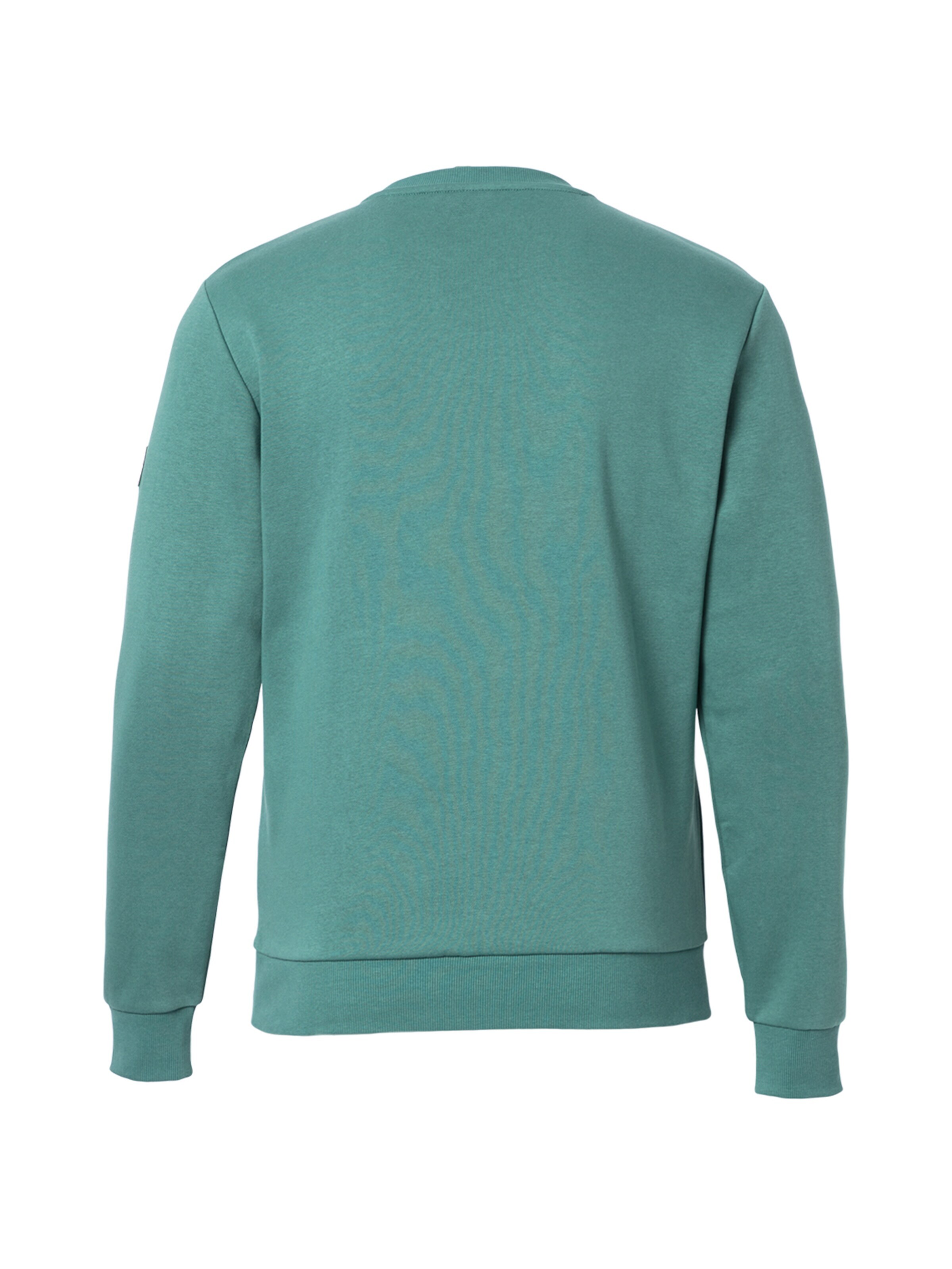 FORSBERG Sweatshirt 'Sweatshirt mit 3D Logo' in Green