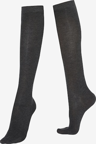 CALZEDONIA Socks in Grey: front
