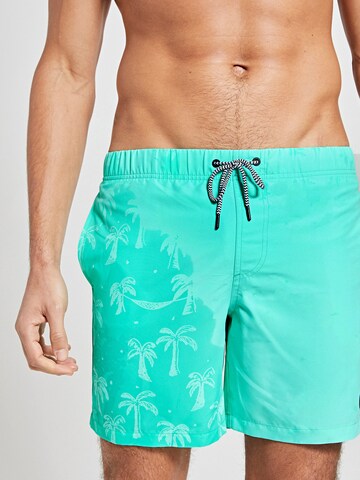 Shorts de bain Shiwi en vert