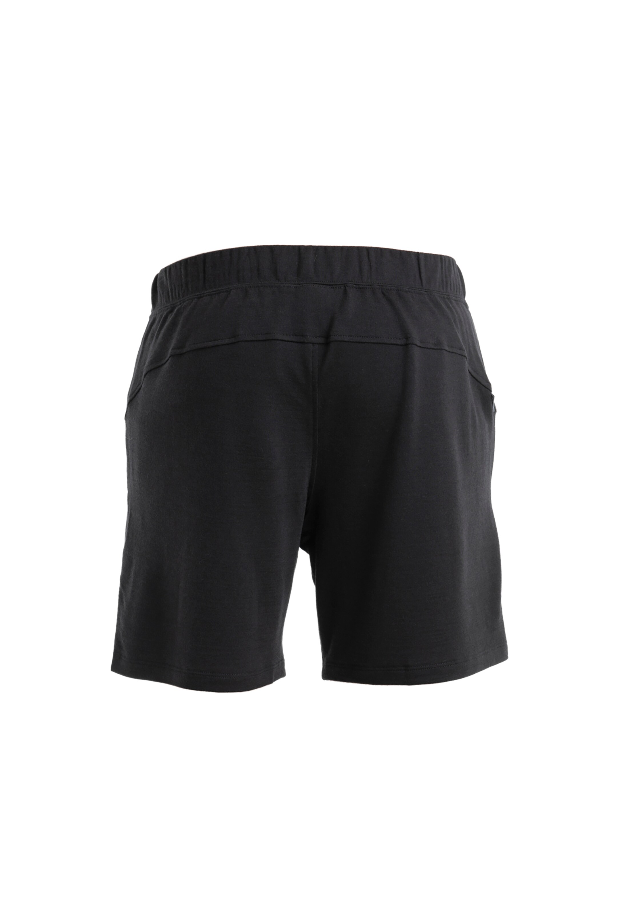 ICEBREAKER Regular Спортен панталон 'Shifter II' в черно