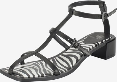 Ekonika Sandalen met riem in de kleur Zwart, Productweergave