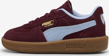 PUMA Sneakers 'Palermo' in Rood: voorkant