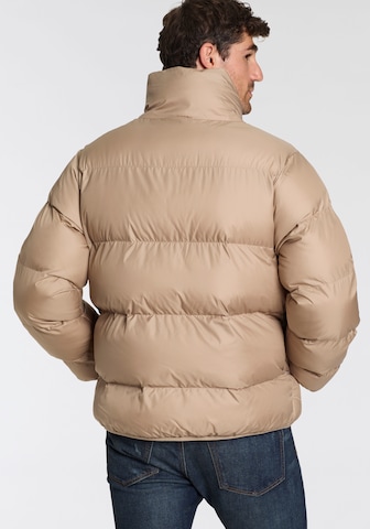 CONVERSE Winter Jacket in Beige