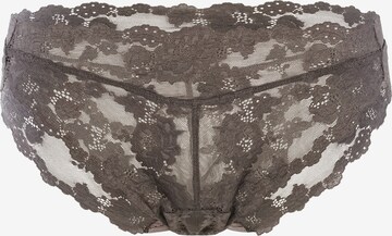 Royal Lounge Intimates Boyshorts 'Dream' in Grey: front