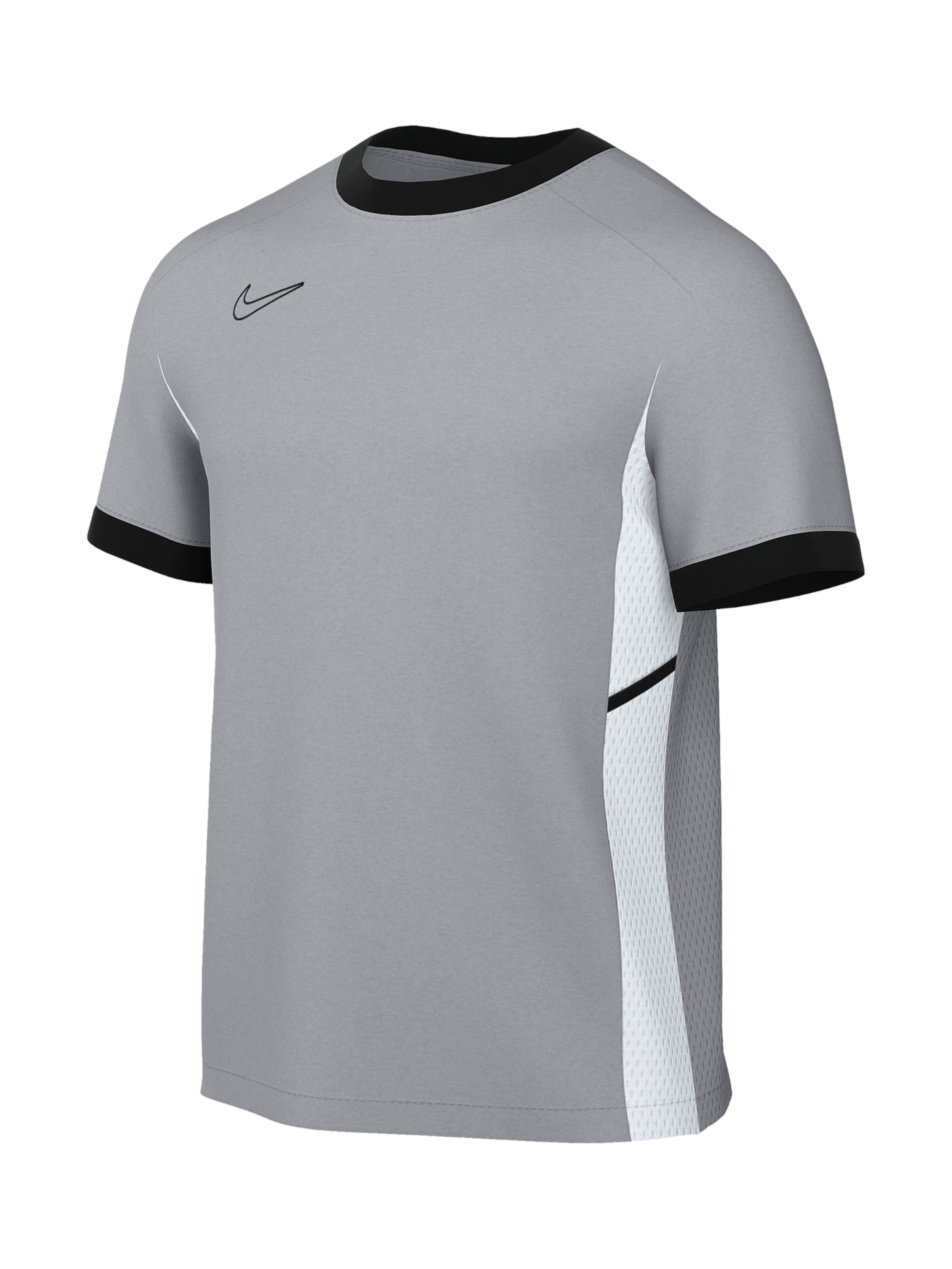 NIKE Funktionsshirt 'Academy 25' in Grau: Vorderseite