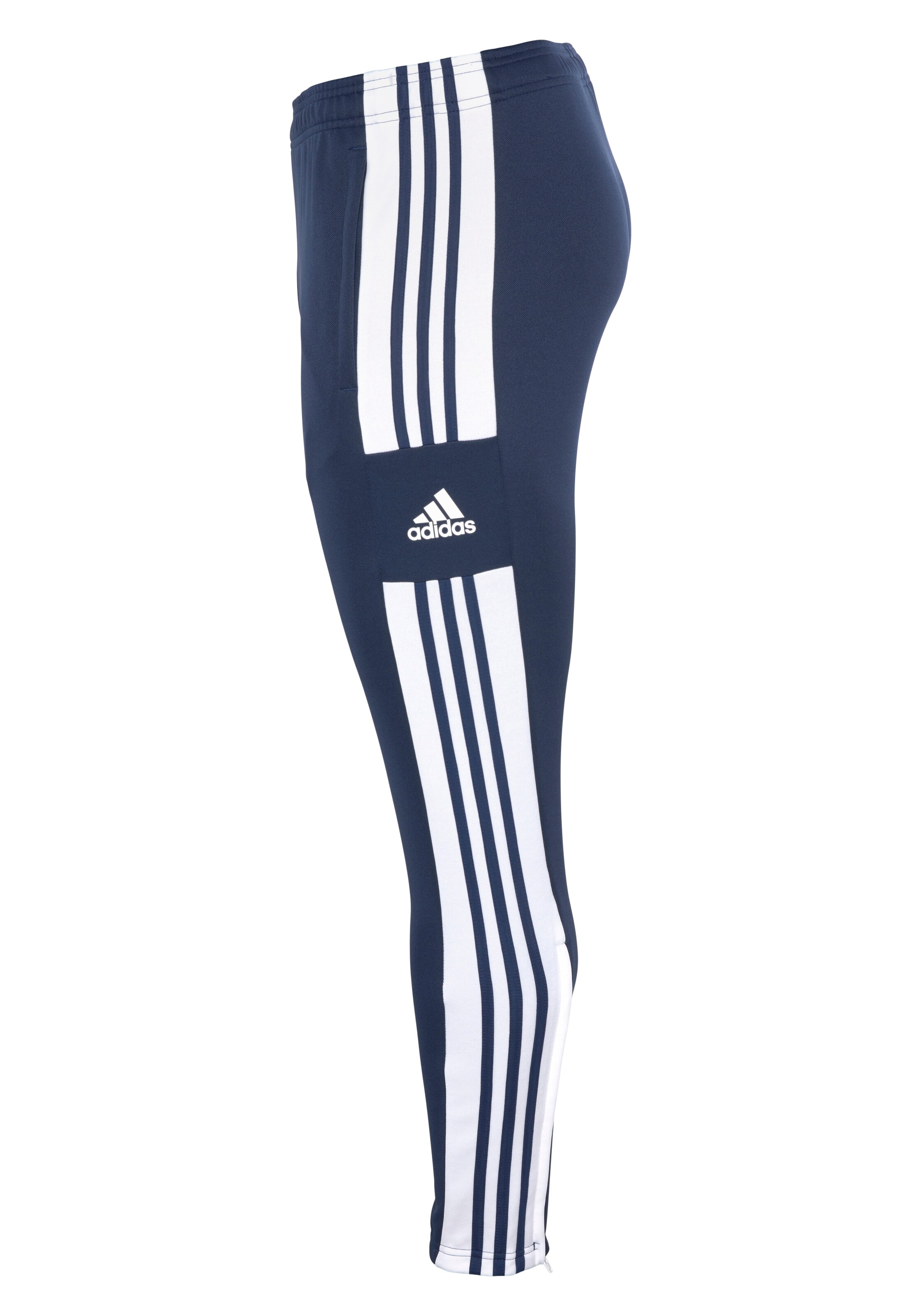 ADIDAS PERFORMANCE Tapered Sporthose 'Squadra 21' in Blau