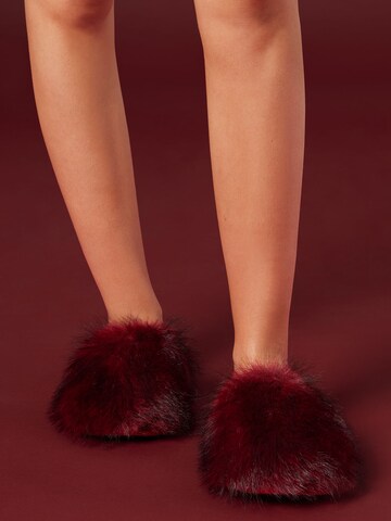 CALZEDONIA Hausschuh in Rot