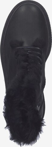 STEVE MADDEN Stiefelette in Schwarz