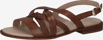 CAPRICE Sandalen met riem in Bruin: voorkant