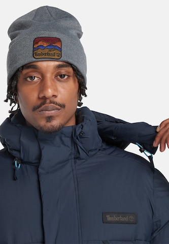 TIMBERLAND Winter jacket in Blue