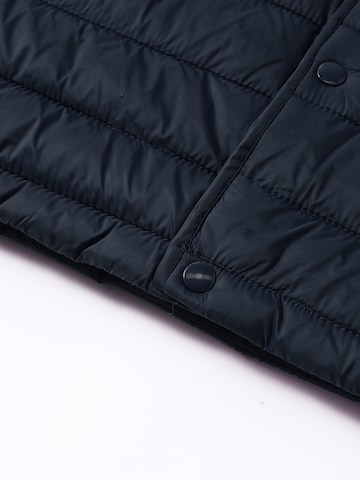 ALLTHEMEN Vest 'Stichlinie' in Blue