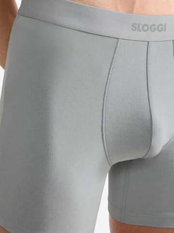 SLOGGI Boxer shorts 'men EVER Ease' in Grey