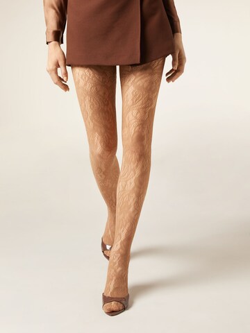 CALZEDONIA Tights in Beige: front