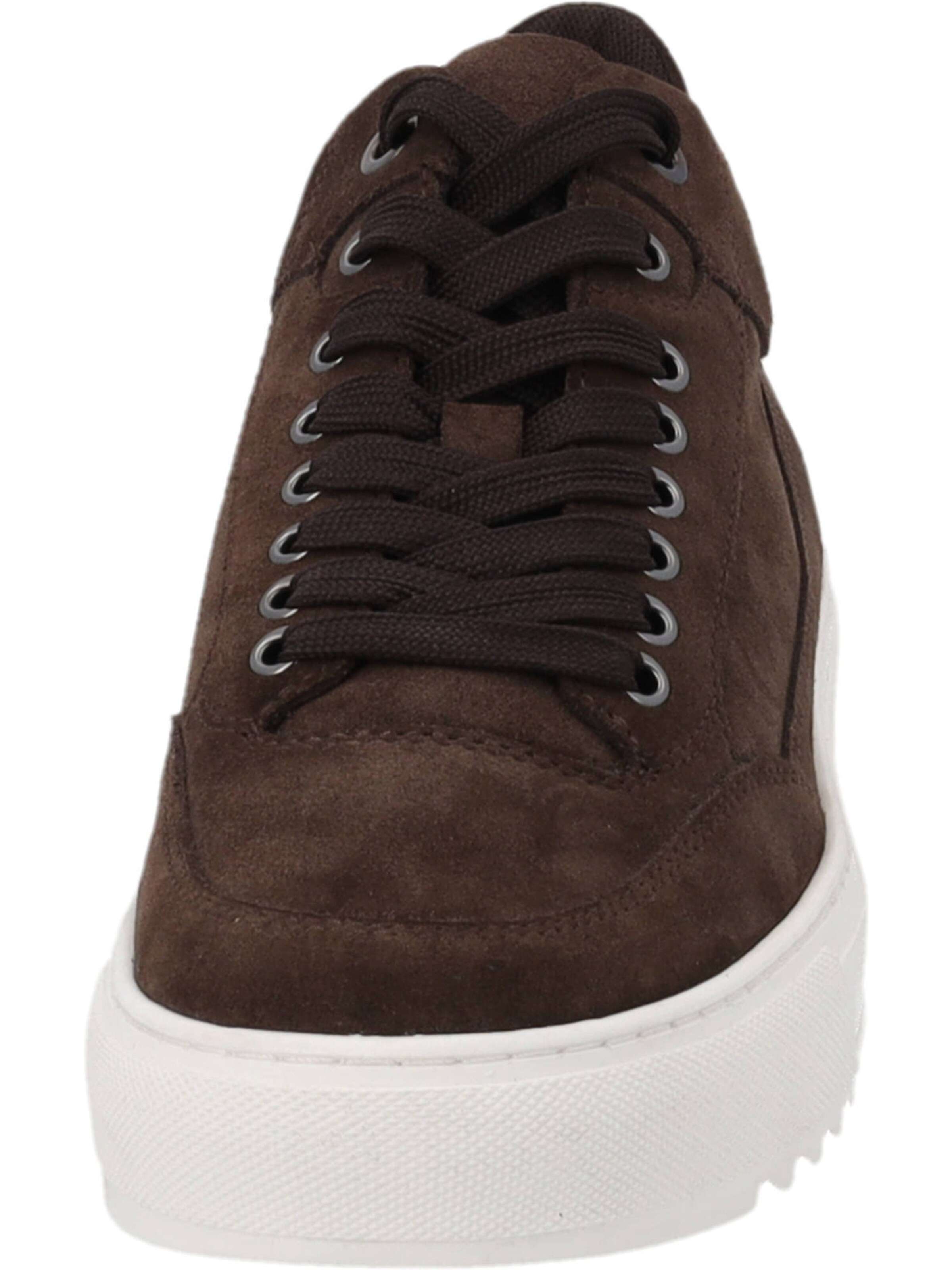 Palado Sneaker  'Giblan' in Braun