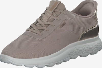 GEOX Sneaker in 37 in camel / gold, Produktansicht