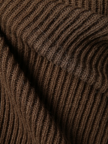 DRYKORN Sweater 'Arvid' in Brown