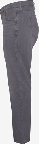 Levi's® Plus Regular Jeans in Grey