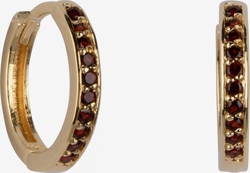 Ana Dyla Ohrringe in Gold: front