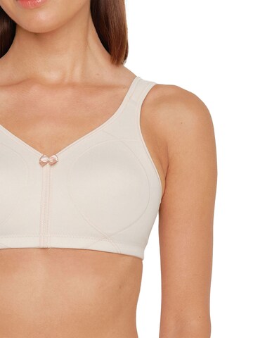 SUSA Bra 'Topsy Plus' in Brown