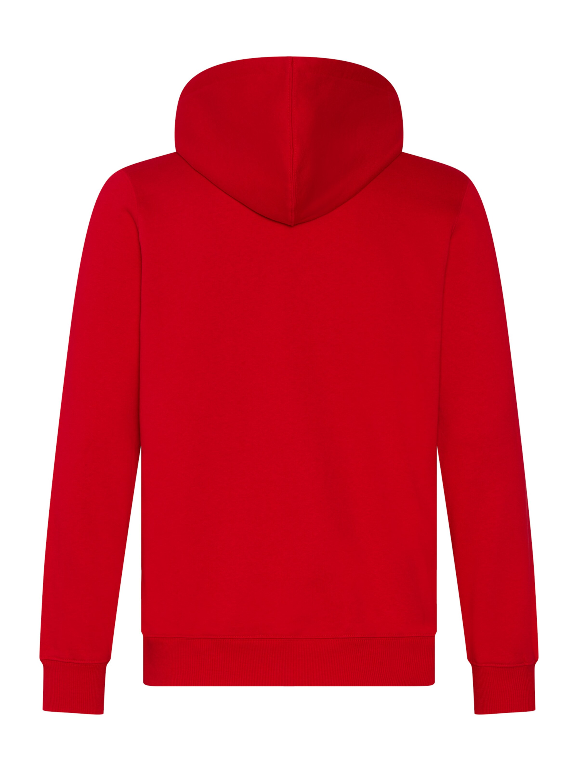 FC BAYERN MÜNCHEN Athletic Zip-Up Hoodie 'Essential' in Red