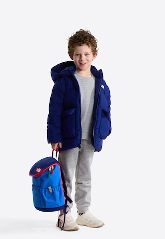 THE NORTH FACE Куртка в спортивном стиле в Синий