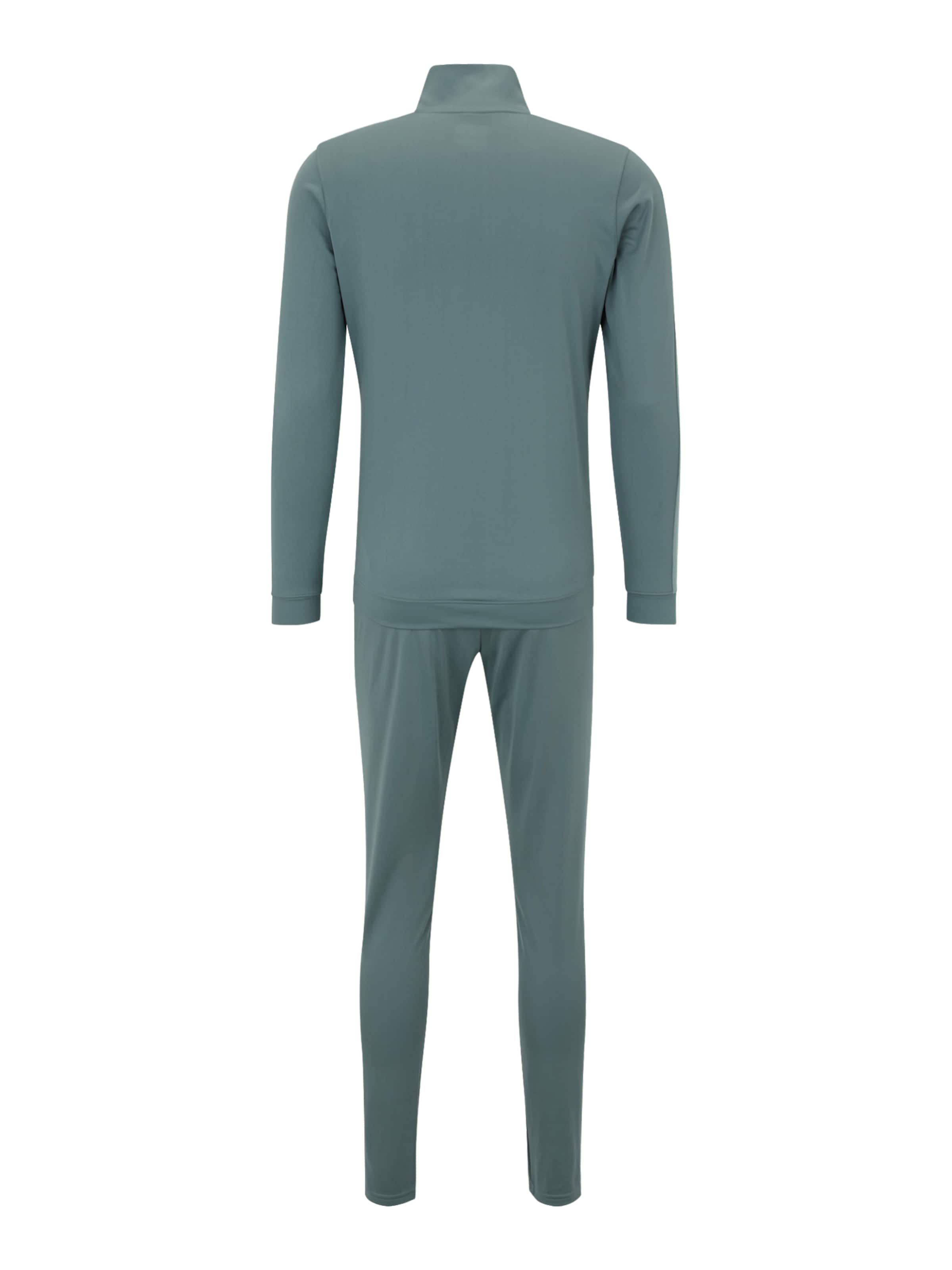 Regular Survêtement 'Emea' UNDER ARMOUR en vert