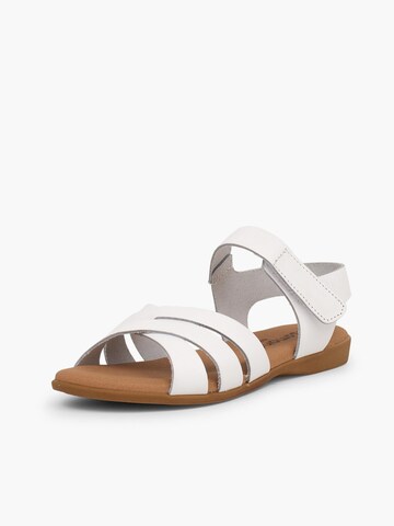 Sandalo di Pisamonas in bianco: frontale