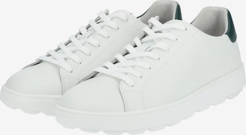 Sneaker bassa 'Spherica' di GEOX in bianco