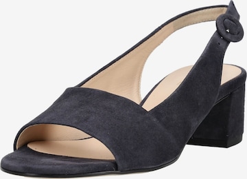 Sandales à lanières Högl en bleu : devant