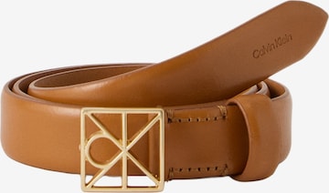 Ceinture Calvin Klein en marron : devant