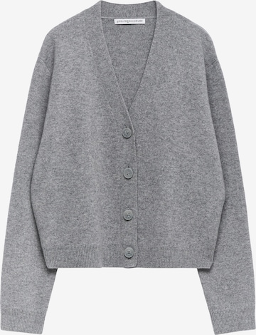 pilka Adolfo Dominguez Kardiganas: priekis